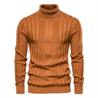 Gastonet | Herren Winter Rollkragenpullover | Warm